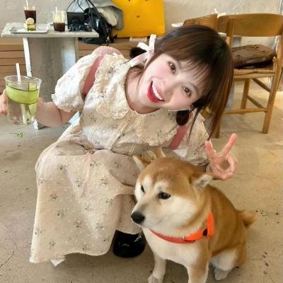 猫咪马汀